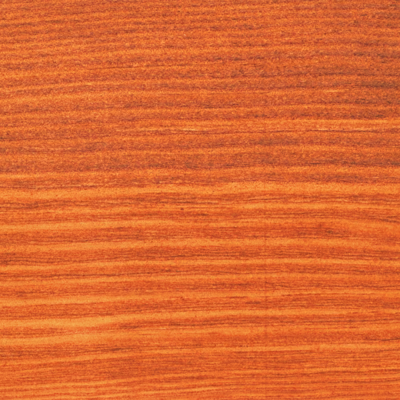 American mahogany