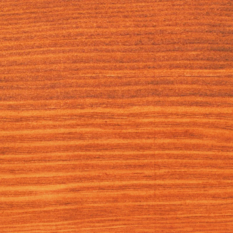 American mahogany