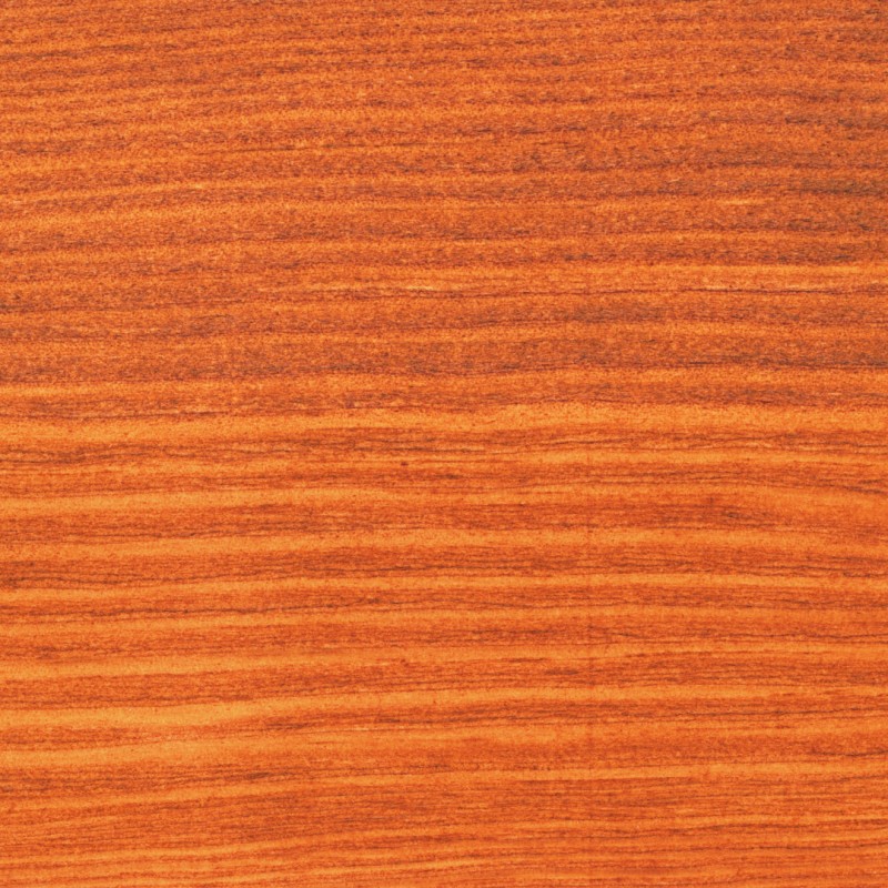 American mahogany