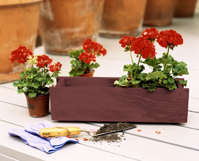 wooden box for flowers